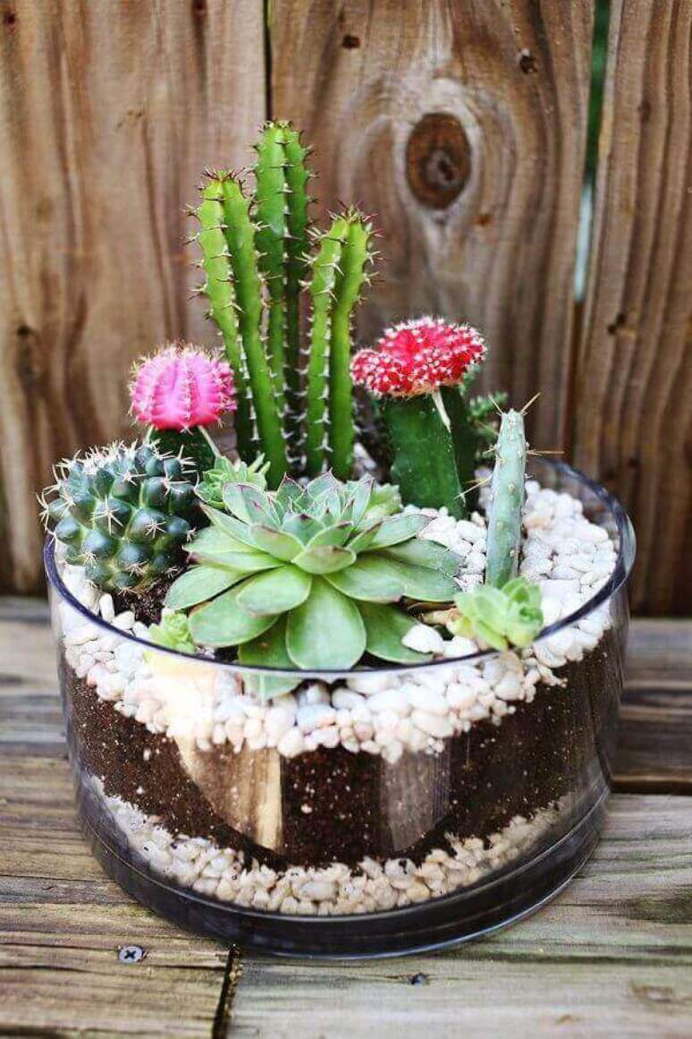 20- O mini jardim de suculentas plantados em vaso de vidro podem decorar todos os ambientes da casa. Fonte: Pinterest