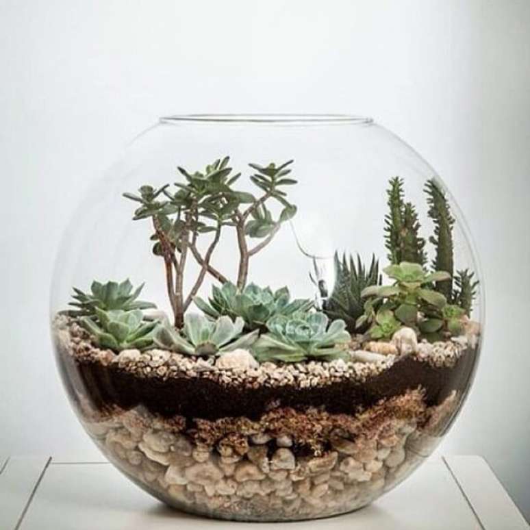 13- O mini jardim de suculentas é ideal para quem tem pouco tempo para cuidar de plantas. Fonte: Casa Vogue