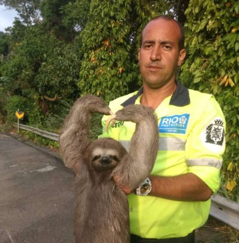 O agente Alexandre, da CET-RJ, resgatou o bicho-preguiça na estrada Grajaú-Jacarepaguá.