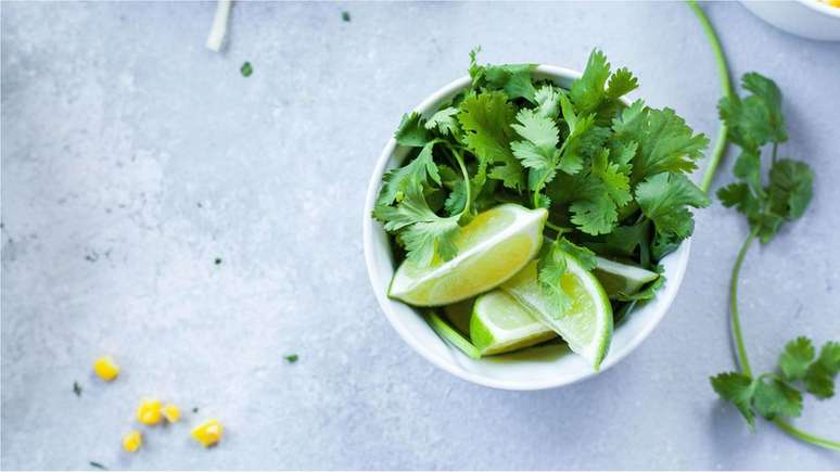 A salsa tem alto teor de boro, flúor e cálcio