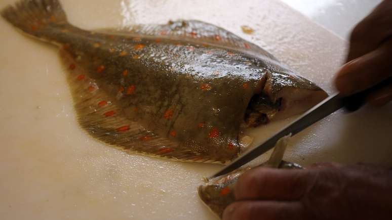 Os peixes planos são uma boa fonte de nutrientes essenciais