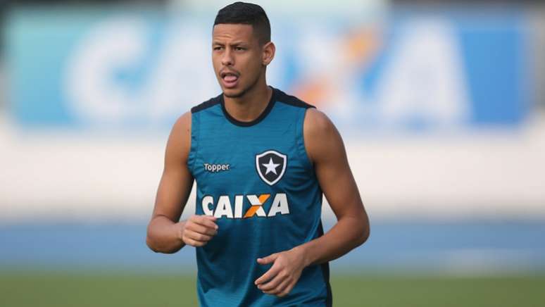 Fernandes subiu aos profissionais em 2015 (Foto: Satiro Sodré/SSPress/Botafogo)