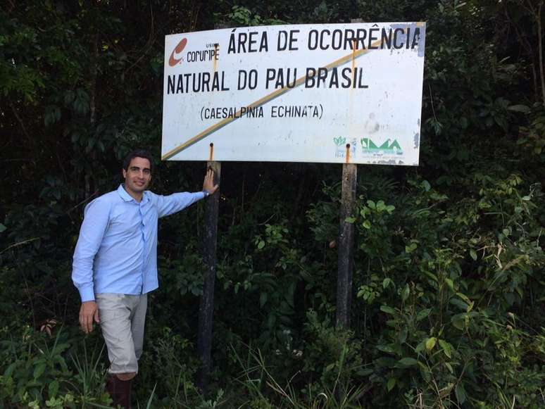 Ricardo Cardim visitou seis Estados para a produção do livro; na Bahia, encontrou alguns dos poucos trechos remanescentes com exemplares centenários de pau-brasil