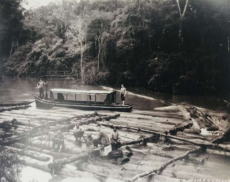 Balsas usadas para escoar madeira no rio Uruguai, na região Sul; mesma técnica é usada atualmente para transportar madeira pelos rios amazônicos.