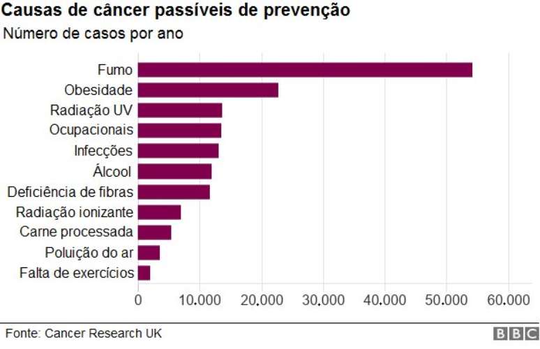 Gráfico sobre casos de câncer e causas passíveis de prevenção