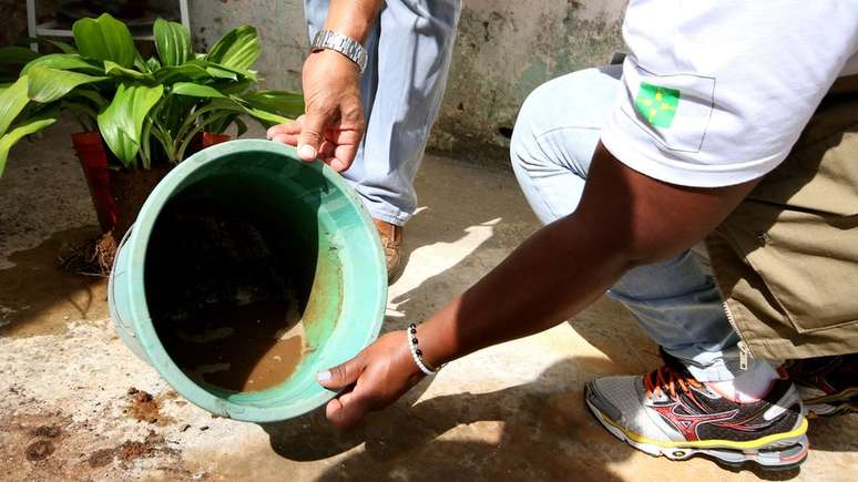 População deve evitar deixar água acumulada para ajudar a combater o Aedes aegypti