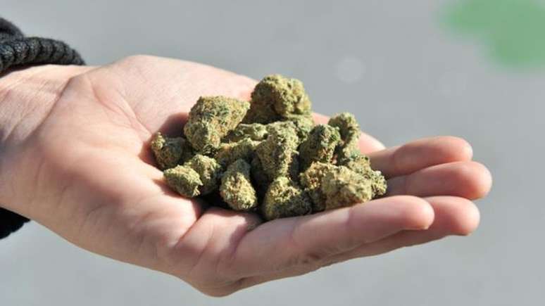 Em 2012, o Uruguai anunciou que seria o primeiro país do mundo a legalizar o uso recreativo de cannabis