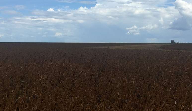 Plantação de soja na Bahia
21/03/2018
REUTERS/Roberto Samora