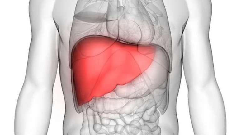 Causada por vírus, a hepatite C provoca inflamação no fígado.