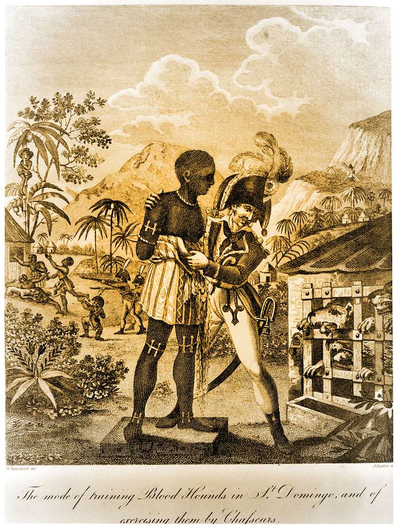 A riqueza produzida pela colônia era extraída graças à importação de dezenas de milhares de escravos todo o ano, e à implementação de um violento sistema escravocrata
