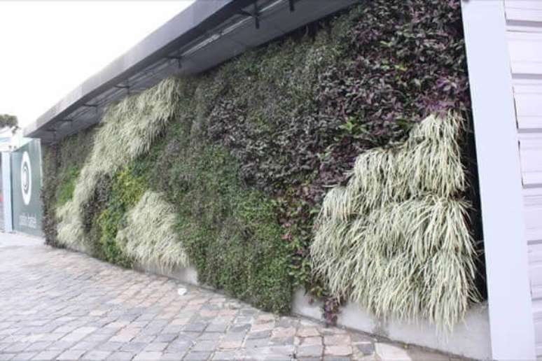 20- Os muros modernos com jardim vertical enfeitam, valorizam o imóvel e inibem a ação de vândalos. Fonte: Dicas Sobre