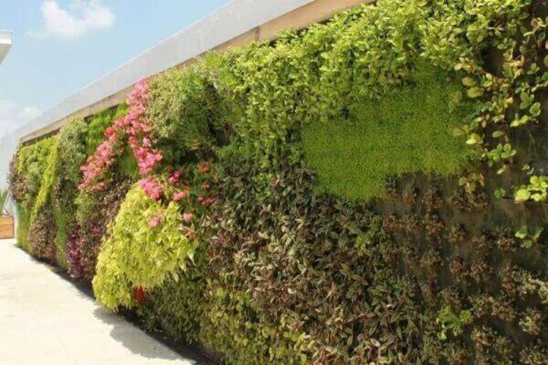43- O jardim vertical é uma ótima solução para muros modernos. Fonte: Pinterest