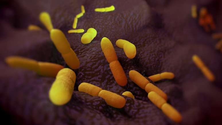 Ilustração representa a bactéria Yersinia pestis; exames foram feitos para averiguar caso de mulher de São Gonçalo com suspeita da doença
