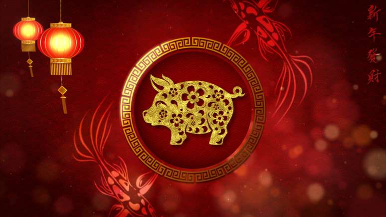 Ano do Porco, animal rege o ano novo chinês em 2019