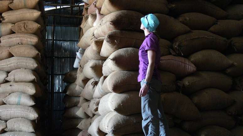 O café arábica é o mais consumido do planeta