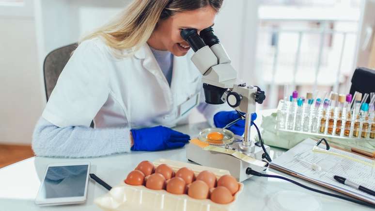 Análises tradicionais de laboratório costumam demorar