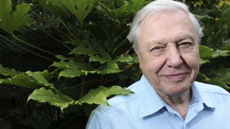 Com 92 anos, David Attenborough é o participante mais velho deste ano