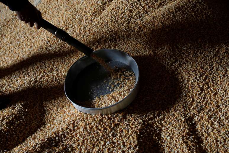 Grãos de milho em galpão de armazenamento. 21/02/2018. REUTERS/Henry Romero