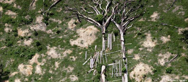 Desmatamento na Amazônia: ONU manifesta preocupação com retrocessos na proteção ambiental no Brasil no mundo