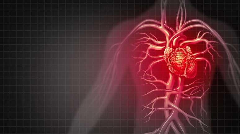 Apesar dos bons resultados, ainda vai demorar um tempo para que a molécula dê origem a um novo medicamento para insuficiência cardíaca