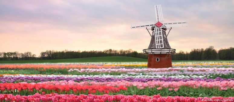 País famoso por suas tulipas, Holanda se destaca também na agricultura de última geração