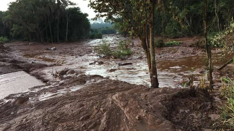 Rompimento de barragem gerou avalanche de lama em Brumadinho