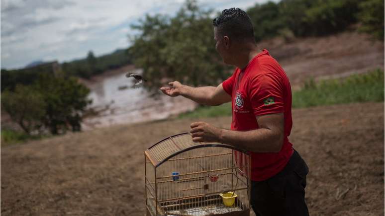 Bombeiros precisaram soltar pássaros, já que não tinham espaço para transportar as gaiolas