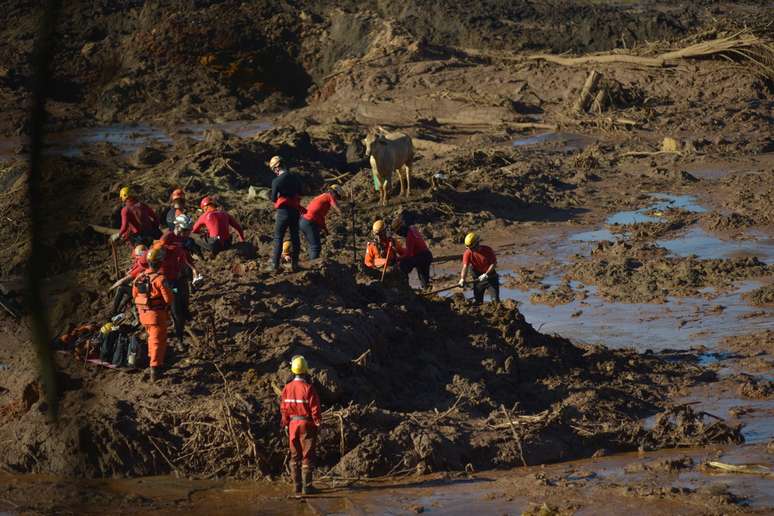 Munidos de p&aacute;s e enchadas, eles come&ccedil;aram a cavar