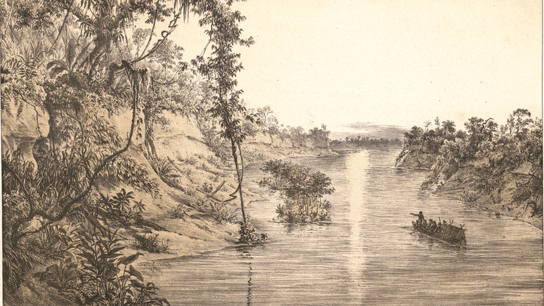 Gravura de 1847 retrata o Rio Japurá, Província do Rio Negro, na época de águas baixas