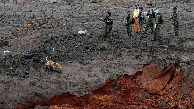 Buscas por desaparecidos em Brumadinho; população diz que alerta sonoro teria dado mais tempo de fuga