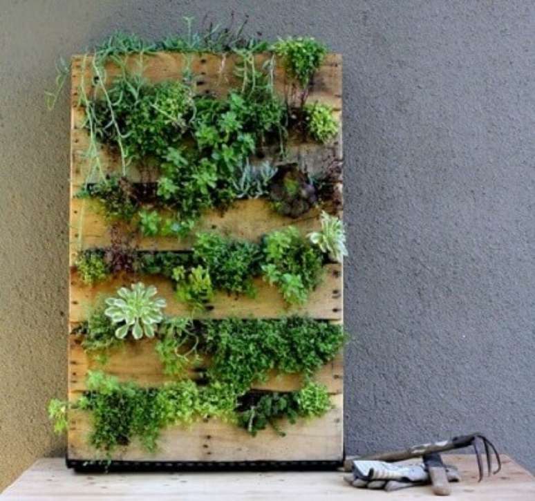 62. Horta vertical em pallet. Foto de Paisagismo Legal