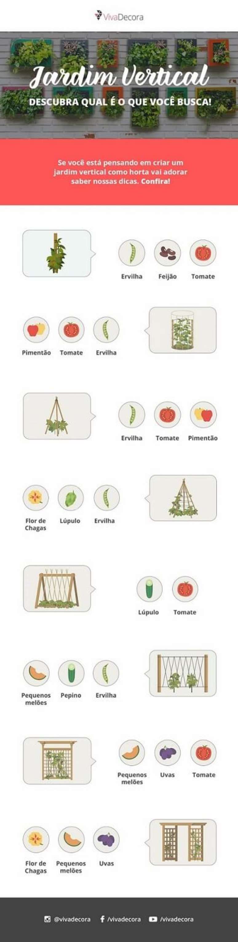 15. Infogr&aacute;fico &ndash; Dicas de plantas para horta vertical