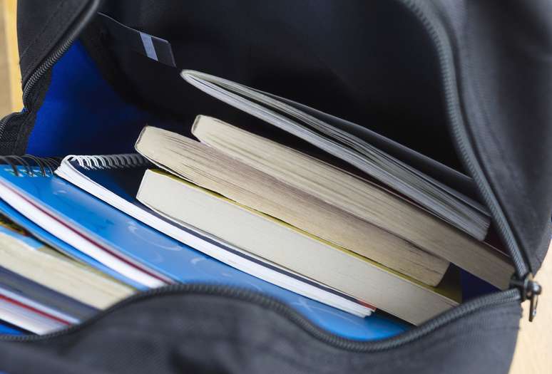 Mais de 10,6 milhões de livros literários que foram escolhidos por professores de escolas públicas do País para serem usados pelos alunos ao longo deste ano ainda não foram comprados pelo Ministério da Educação (MEC)
