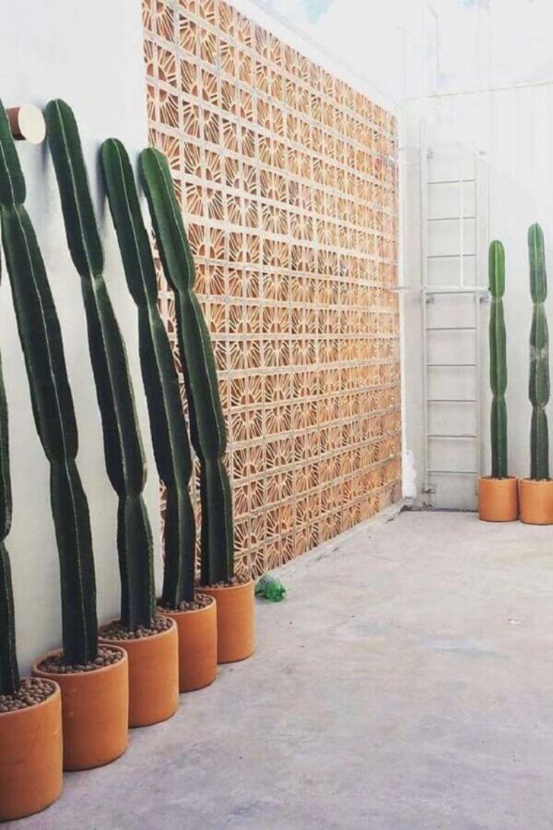 16. Área externa decorada com parede de cobogó de concreto e vasos de cactos – Foto: Neu dekoration stile