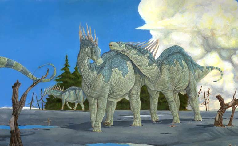 O 'Amargasaurus', tamb&eacute;m encontrado em Neuqu&eacute;n, s&oacute; que na d&eacute;cada de 1980, &eacute; o parente mais pr&oacute;ximo de 'Bajadasaurus'