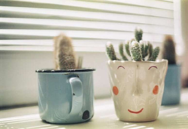 64- Os cactos podem ser plantados em pequenos vasos, canecas ou xícaras para enfeitar a cozinha. Fonte: Fernando Lavin