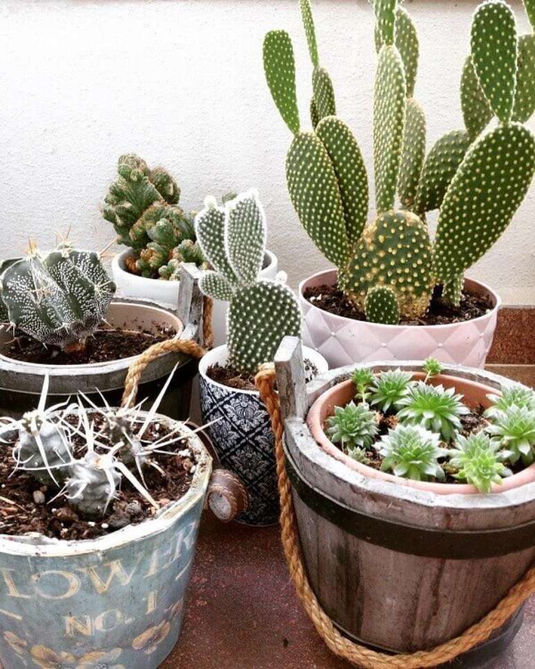 66- Os vários tipos de cactos foram plantados e acomodados em cachepots rústicos. Fonte: Cactus Forever