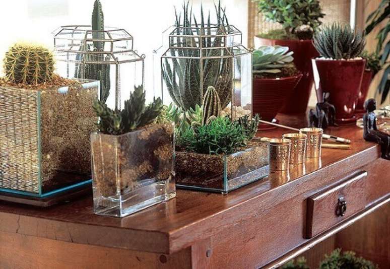 67- Os cactos plantados em terrários são decorativos e de fácil manutenção. Fonte: Cultura Mix