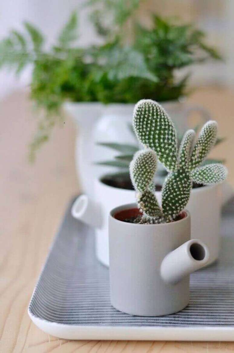 38- Cactos plantados em utensílios de cozinha são ideais para decorar a copa. Fonte: Pinterest