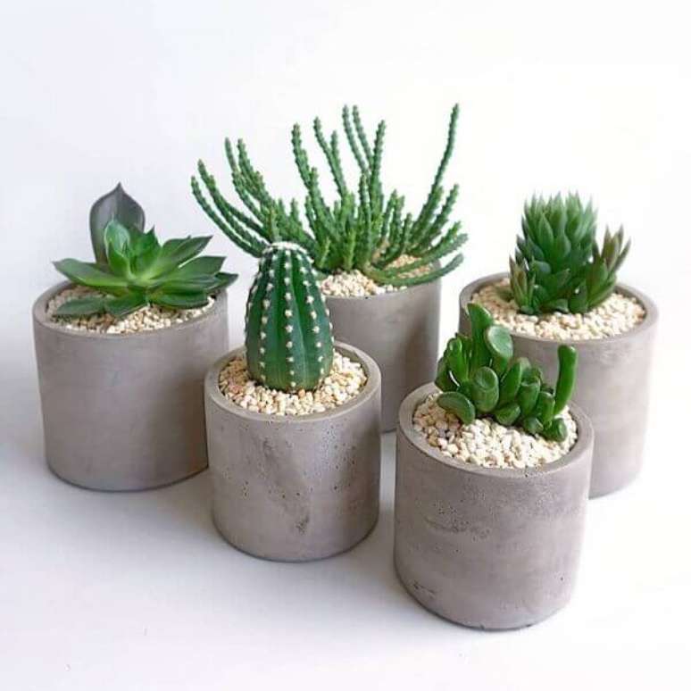 70- A coleção de suculentas e cactos foram plantadas em vasos de cimento. Fonte: Aaroink Gardens