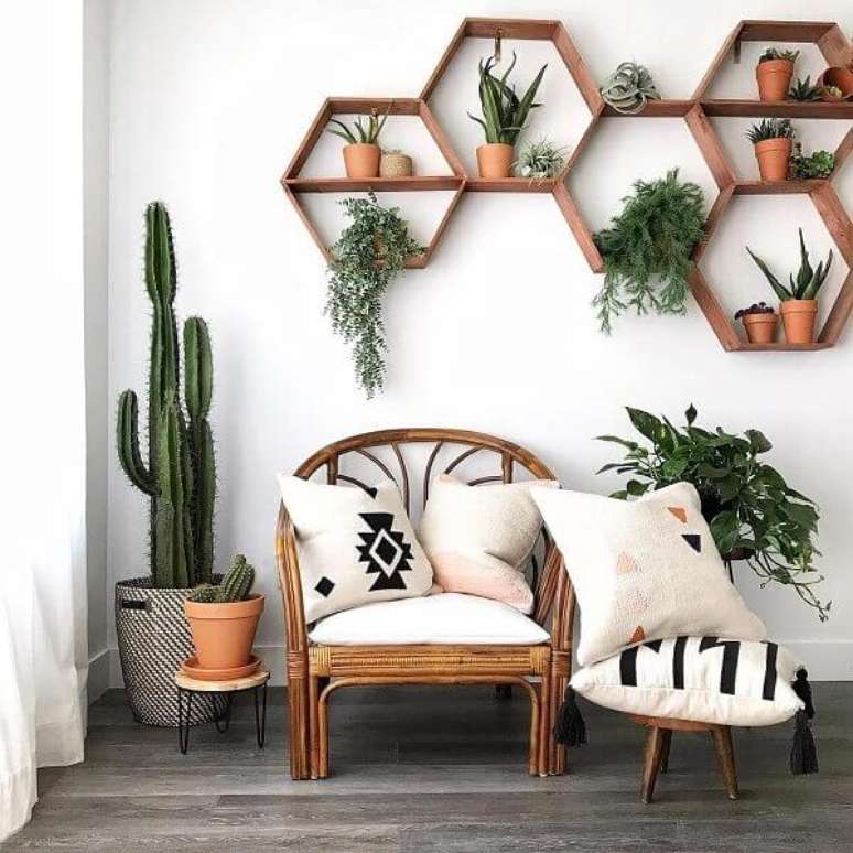 2. Os cactos são plantas esculturais e decorativas para a sala ou varanda. Fonte: AEKOO