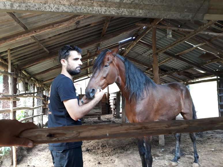  Cerca de 1500 animais, entre aves, cães, gatos, equídeos e bovinos receberam água e comida