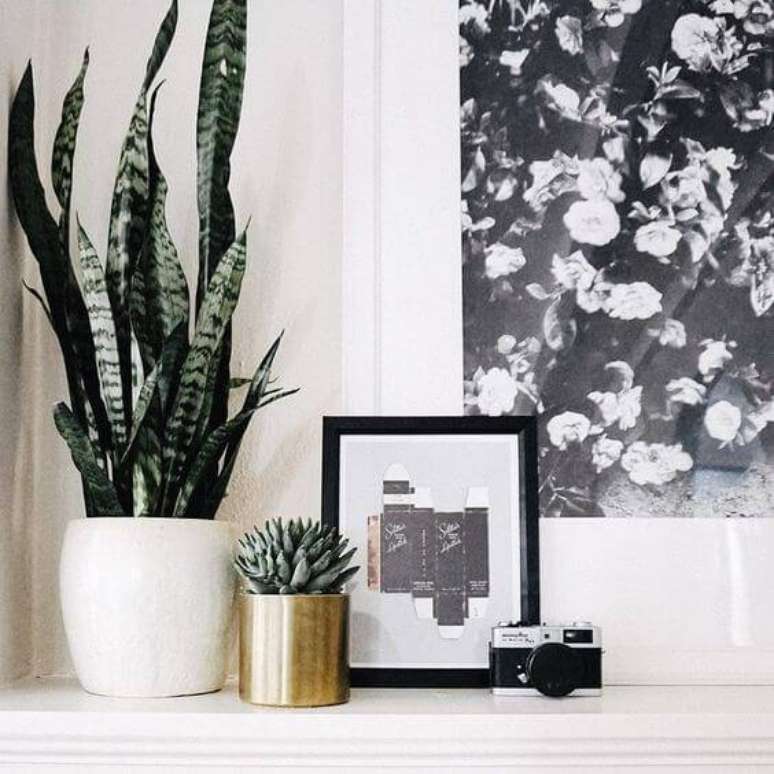 8. Use vasos em prateleiras para dar vida aos ambientes