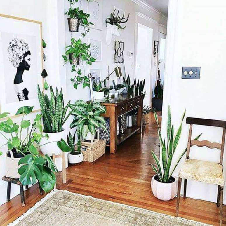 12. Criar um espa&ccedil;o verde em casa n&atilde;o requer muito espa&ccedil;o e fica muito lindo