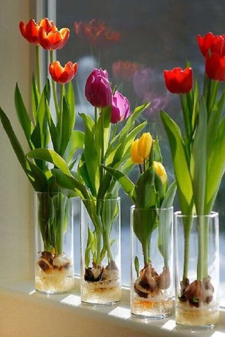 14- A flor de tulipa se adapta perfeitamente em janelas ensolaradas. Fonte: Pinterest