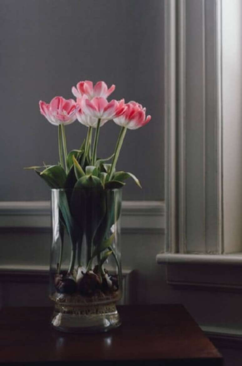 26- A tulipa tem aproximadamente 100 espécies distintas. Fonte: Kelly Sikkema