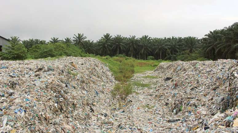 Resíduos são despejados a poucos metros de uma plantação de palmeiras em Jenjarom