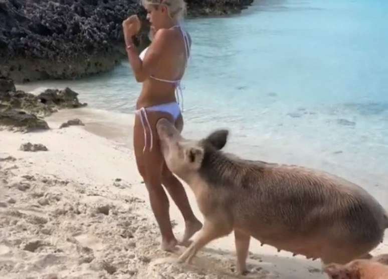 Michelle Lewin foi mordida por porco nas Bahamas.
