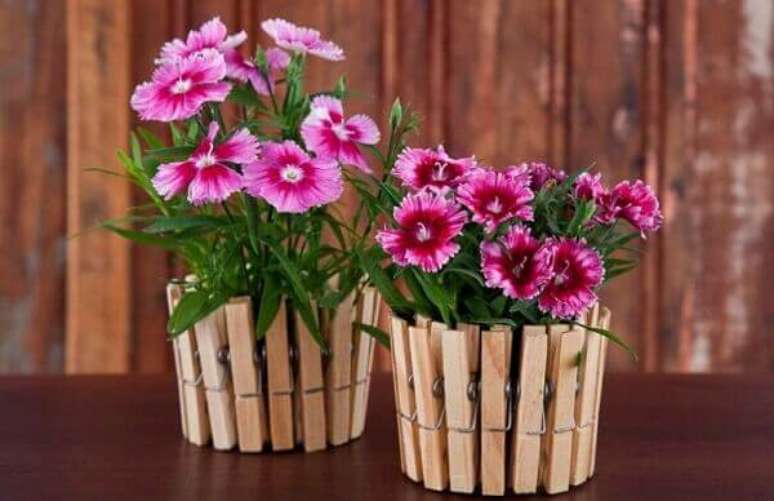 12- As Cravinas são flores do campo que podem ser plantadas em canteiros, vasos ou floreiras. Fonte: PlantaSonya