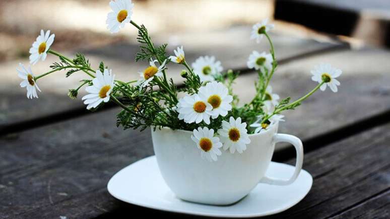 64- As Margaridas são flores do campo muito utilizadas na decoração de ambientes internos e externos. Fonte: Westwing